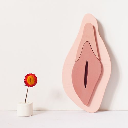 belinda vulva