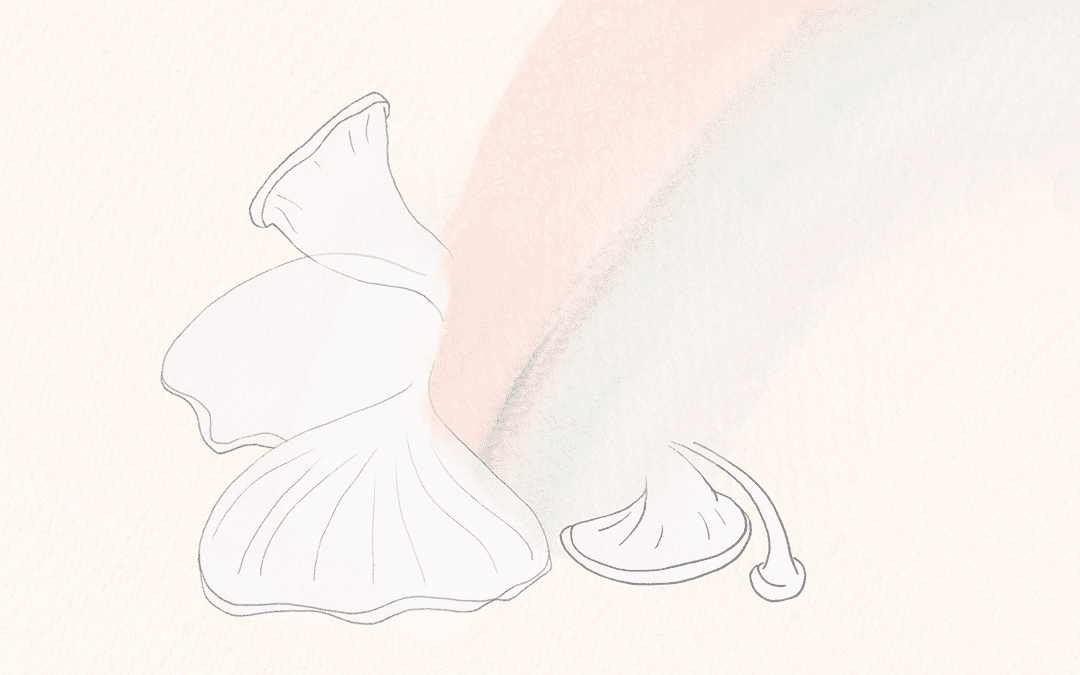 What I Learned From The Universe After Taking Mushrooms