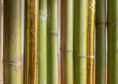 a cropped shot inside a 2m bamboo art installation made into a round shelter with good leaf on every 5th bamboo pole