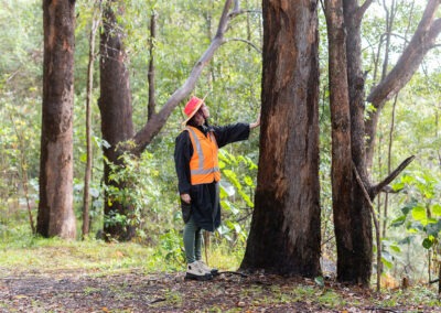 photo taken in an australian bush photo on a rainy day. In the middle of a photo is a woman wearing a hi-vis vest and hat and a black rain poncho underneath. She has her left arm out stretched touching a tree. In the photo you can see a variety of trees, including four main big tree trunks