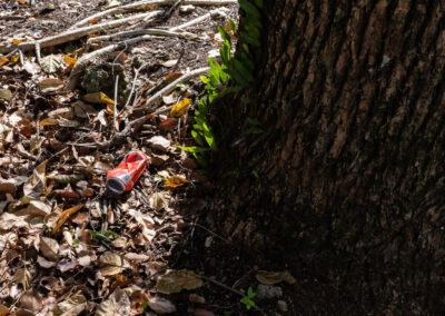 shot of the base of a trunk. The trunk is mostly in shadow, whilst the surrounding bark on the floor is being lit to reveal a coke can.