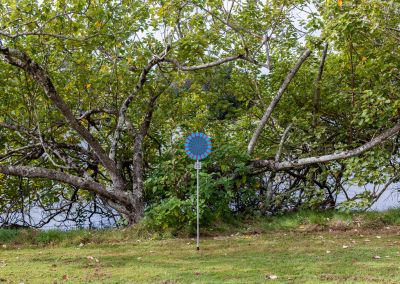 A photo taken outside at Noosa, that shows an art sign post, the post has a round blue psychedelic graphic and sits in front of a cropped tree. Glimpses of a river behind can be seen through the tree.