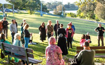 Translating Trees Feedback