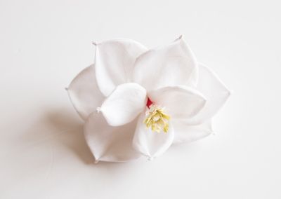 a shot of a white fabric flower with a red and yellow stamen