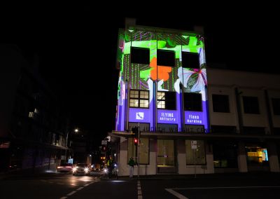 a photo taken at night in the valley (meanjin/Brisbane). The photo captures the Judith Wright Centre building and Fiona Harding's projected work. The work consists of pattern collages of the artist where a glowing green mushroom costume. The projection also had colourful flowers and crescent moons.