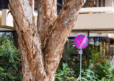A photo taken outside at Noosa, that shows an art sign post. The post has a round design with a pink and blue psychedelic graphic and sits in a park next to a tree in front of Noosa Regional Gallery