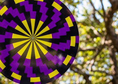 A photo taken outside at Noosa, that shows an art sign post (close up). The post has a round purple, yellow and black psychedelic graphic and sits in a park amongst trees.